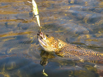 2011-11-mongolsko-13